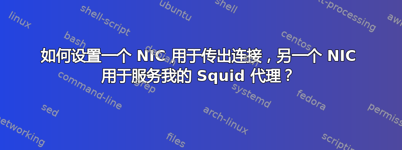 如何设置一个 NIC 用于传出连接，另一个 NIC 用于服务我的 Squid 代理？