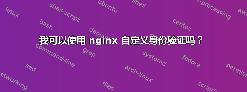 我可以使用 nginx 自定义身份验证吗？