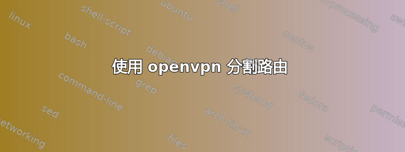 使用 openvpn 分割路由