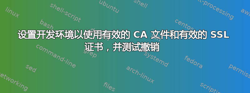 设置开发环境以使用有效的 CA 文件和有效的 SSL 证书，并测试撤销 