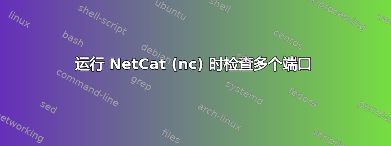 运行 NetCat (nc) 时检查多个端口