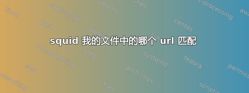 squid 我的文件中的哪个 url 匹配