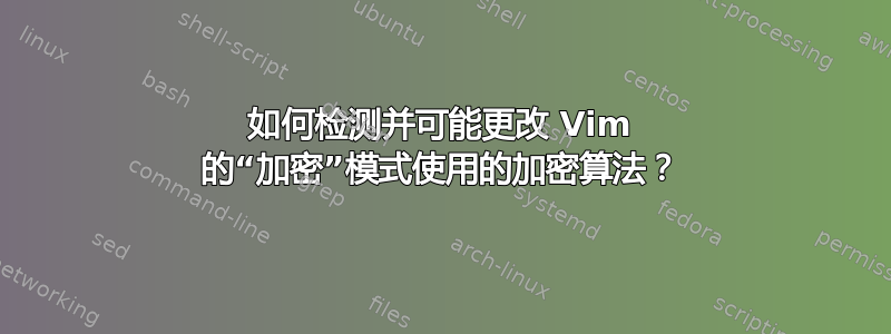 如何检测并可能更改 Vim 的“加密”模式使用的加密算法？