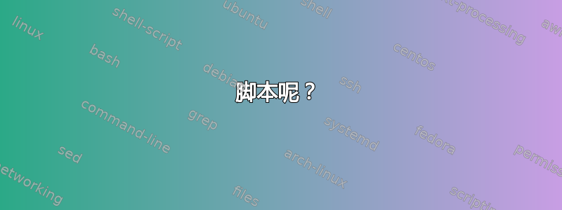 脚本呢？