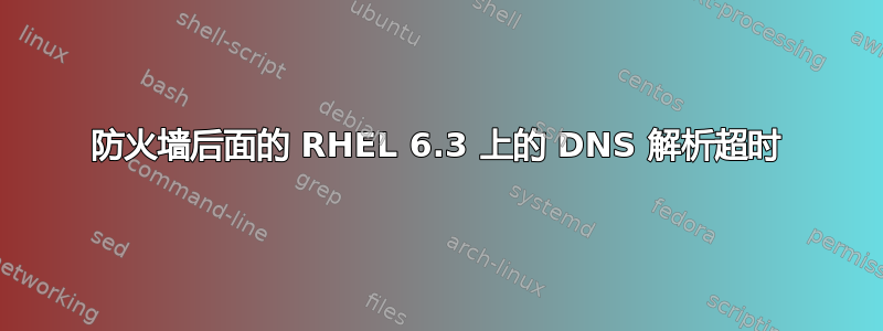 防火墙后面的 RHEL 6.3 上的 DNS 解析超时