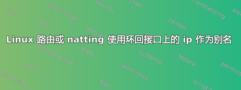 Linux 路由或 natting 使用环回接口上的 ip 作为别名