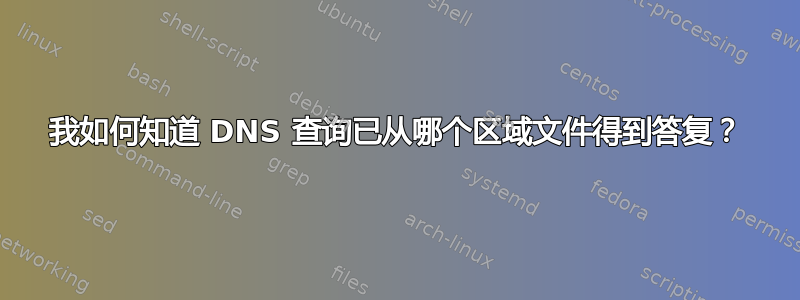 我如何知道 DNS 查询已从哪个区域文件得到答复？