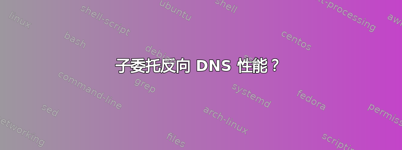 子委托反向 DNS 性能？