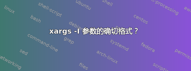 xargs -I 参数的确切格式？