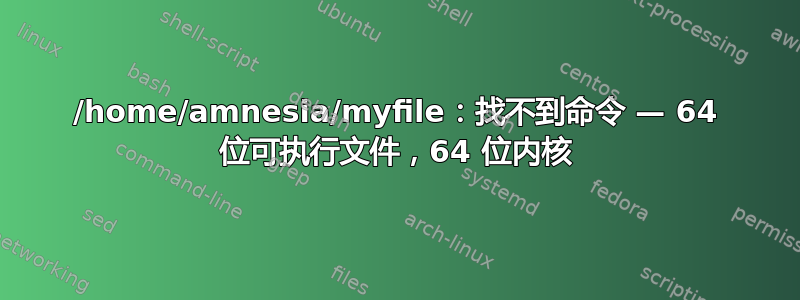 /home/amnesia/myfile：找不到命令 — 64 位可执行文件，64 位内核