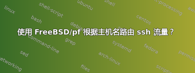 使用 FreeBSD/pf 根据主机名路由 ssh 流量？