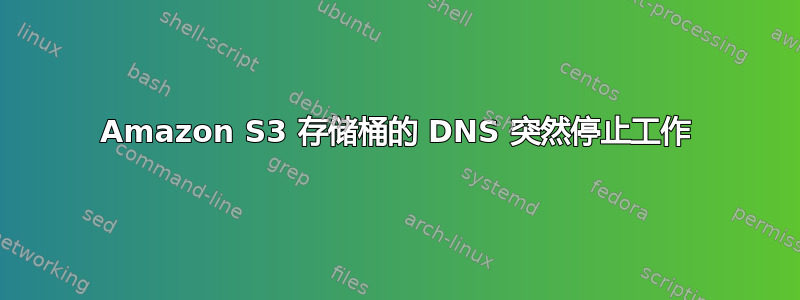 Amazon S3 存储桶的 DNS 突然停止工作