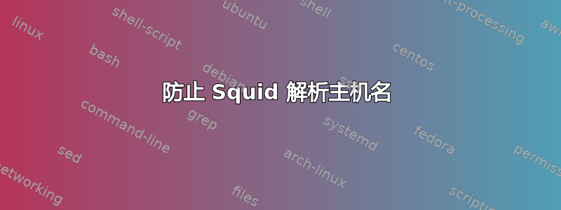 防止 Squid 解析主机名