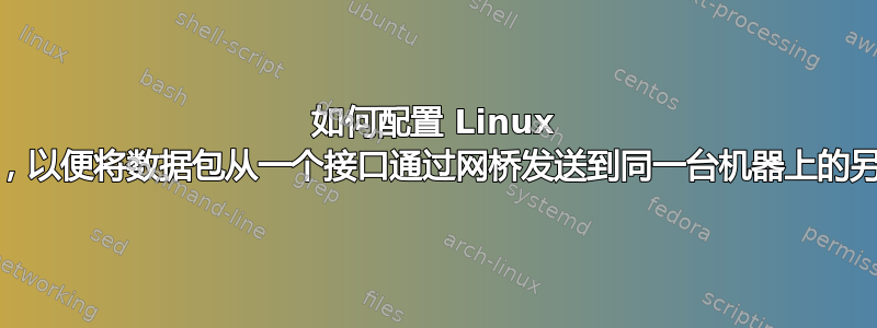 如何配置 Linux 路由/过滤，以便将数据包从一个接口通过网桥发送到同一台机器上的另一个接口