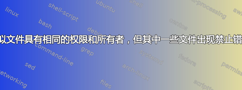 类似文件具有相同的权限和所有者，但其中一些文件出现禁止错误