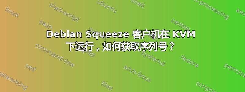 Debian Squeeze 客户机在 KVM 下运行，如何获取序列号？