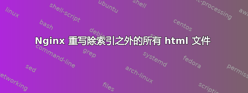 Nginx 重写除索引之外的所有 html 文件