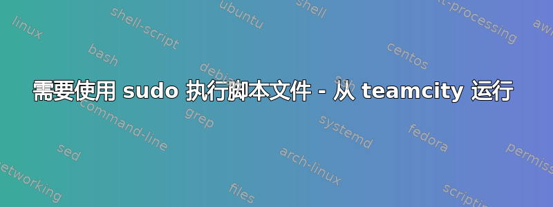 需要使用 sudo 执行脚本文件 - 从 teamcity 运行