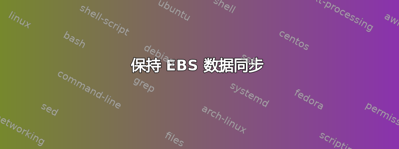 保持 EBS 数据同步