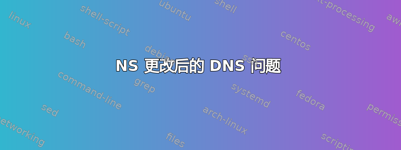 NS 更改后的 DNS 问题