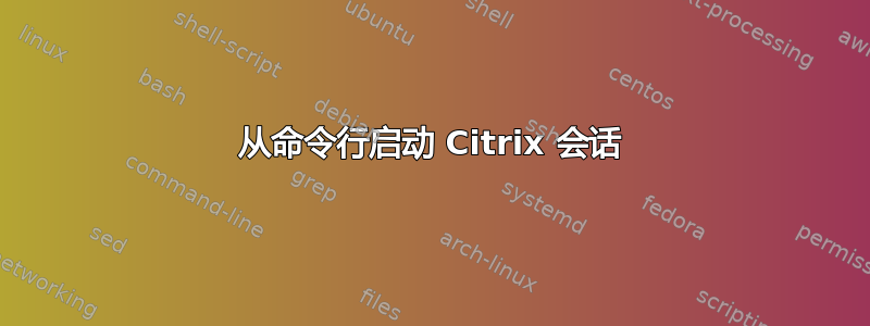 从命令行启动 Citrix 会话