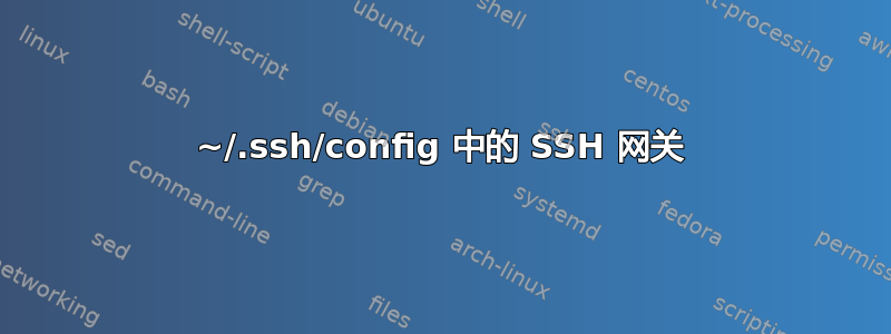 ~/.ssh/config 中的 SSH 网关