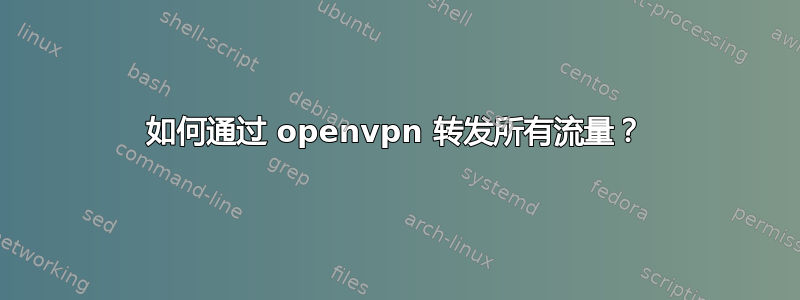 如何通过 openvpn 转发所有流量？