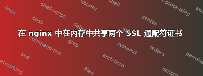 在 nginx 中在内存中共享两个 SSL 通配符证书