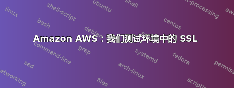 Amazon AWS：我们测试环境中的 SSL