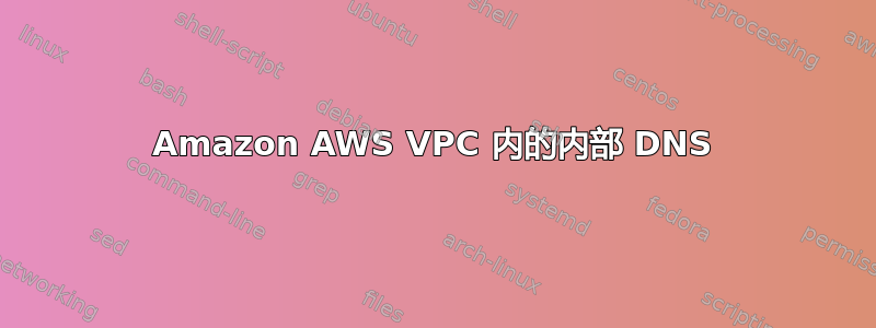 Amazon AWS VPC 内的内部 DNS