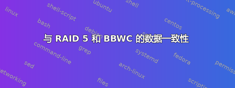 与 RAID 5 和 BBWC 的数据一致性