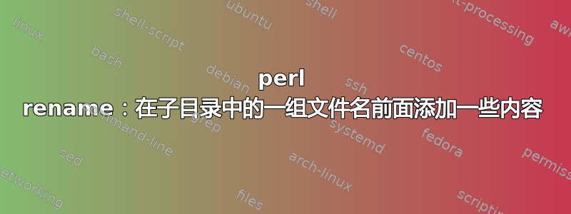 perl rename：在子目录中的一组文件名前面添加一些内容