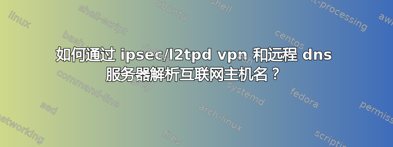 如何通过 ipsec/l2tpd vpn 和远程 dns 服务器解析互联网主机名？