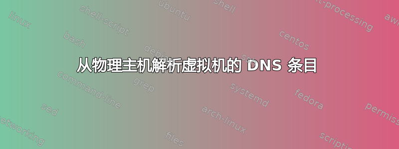 从物理主机解析虚拟机的 DNS 条目