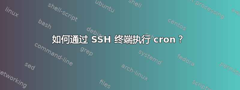 如何通过 SSH 终端执行 cron？