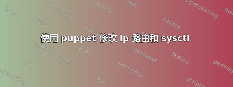 使用 puppet 修改 ip 路由和 sysctl