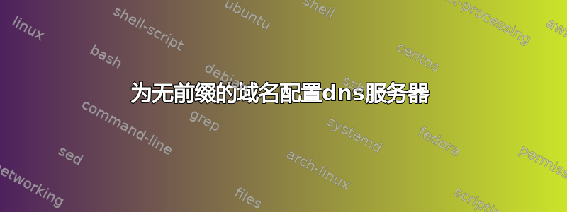 为无前缀的域名配置dns服务器