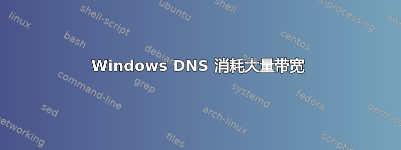 Windows DNS 消耗大量带宽