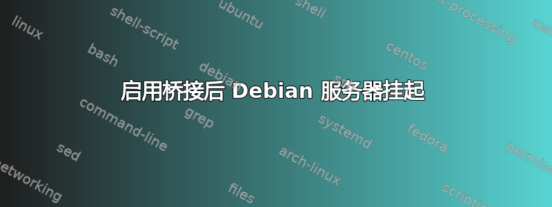 启用桥接后 Debian 服务器挂起