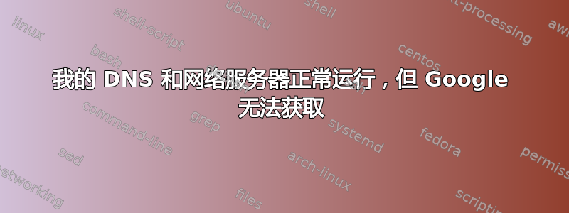 我的 DNS 和网络服务器正常运行，但 Google 无法获取