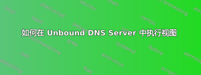 如何在 Unbound DNS Server 中执行视图