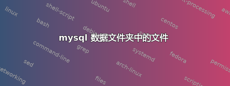 mysql 数据文件夹中的文件