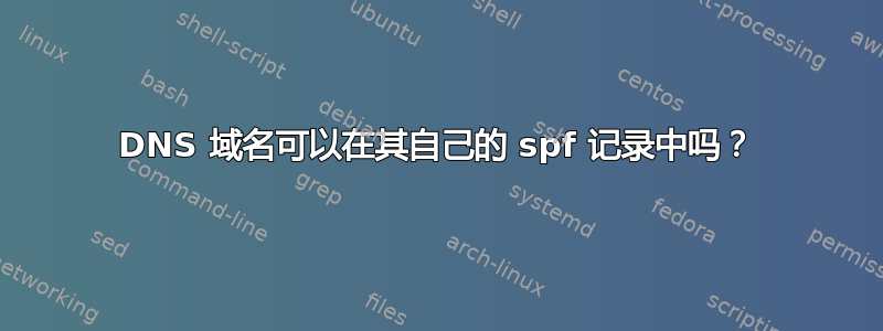 DNS 域名可以在其自己的 spf 记录中吗？