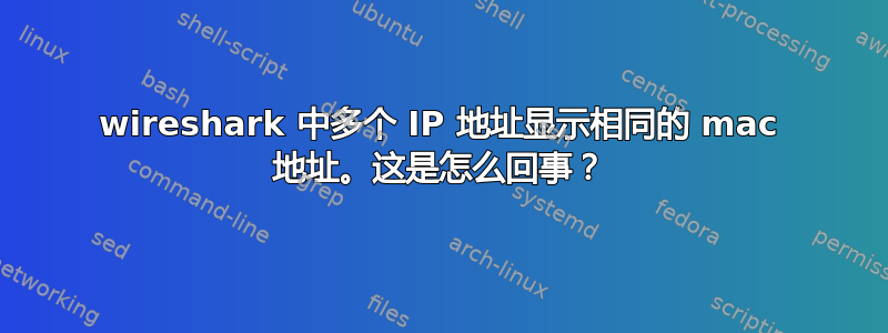 wireshark 中多个 IP 地址显示相同的 mac 地址。这是怎么回事？