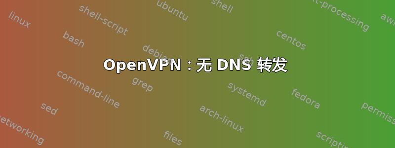 OpenVPN：无 DNS 转发