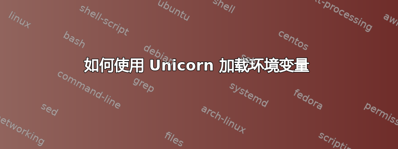 如何使用 Unicorn 加载环境变量