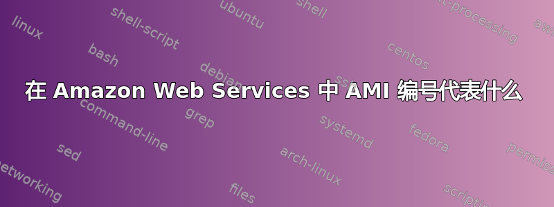 在 Amazon Web Services 中 AMI 编号代表什么