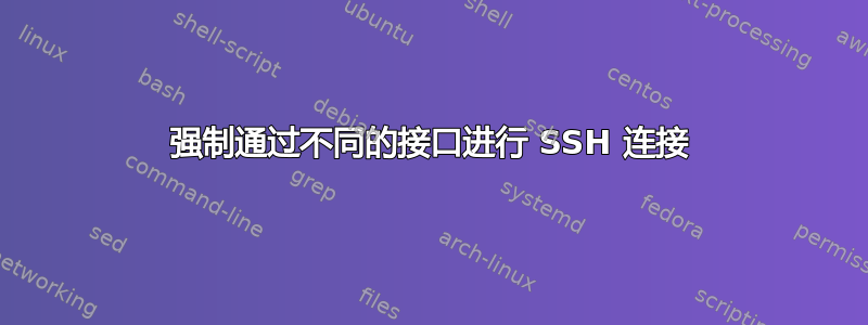 强制通过不同的接口进行 SSH 连接