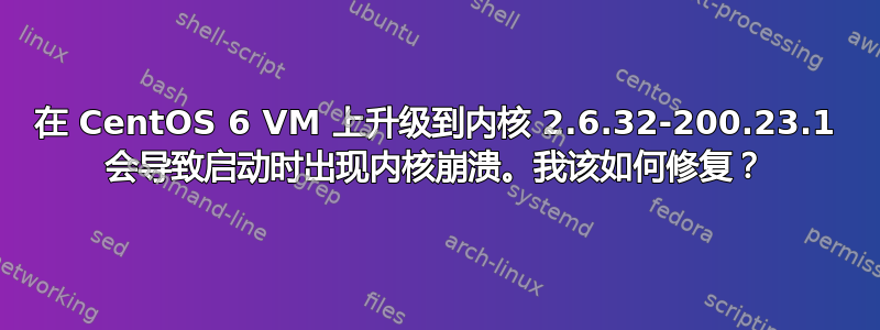 在 CentOS 6 VM 上升级到内核 2.6.32-200.23.1 会导致启动时出现内核崩溃。我该如何修复？