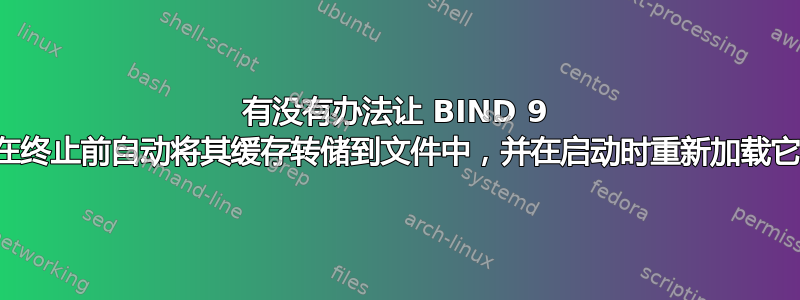 有没有办法让 BIND 9 在终止前自动将其缓存转储到文件中，并在启动时重新加载它